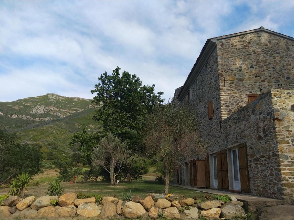 Mulinu Biancu Hotel Poggio-d'Oletta Exterior photo